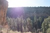2018-01-16 to 2018-01-20 Bandolier and Jemez NM 074